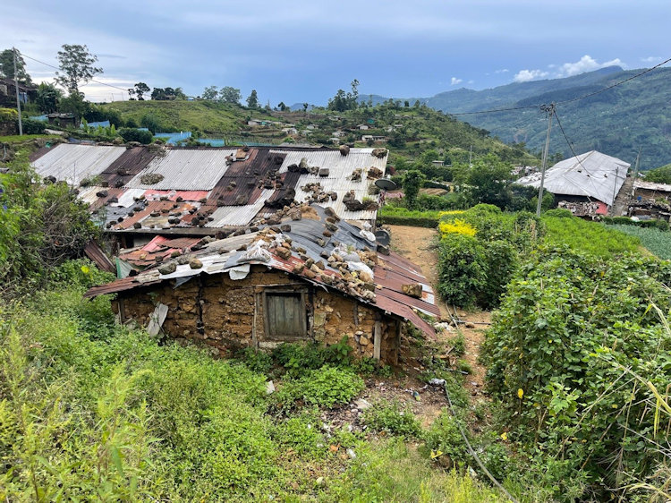 Sri Lanka tea plantation